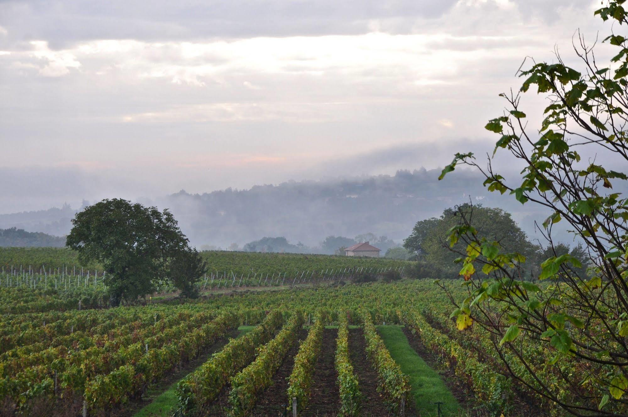 Le Clos Du Cher En Beaujolais Saint-Germain-Nuelles Exterior foto